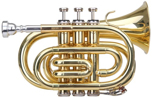 Top taschentrompete als - bb-taschentrompete,