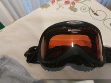 Skibrille Alpina mit mit