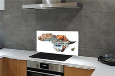 Tulup Küchenrückwand