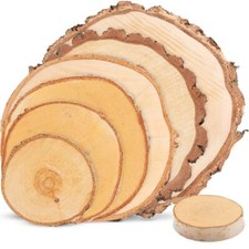 Birke Holzscheiben 8 - 45 cm