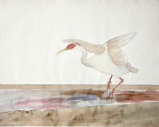 Fliegender Kranich, Aquarell