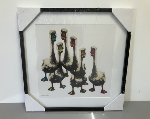 John lewis charlotte - john,