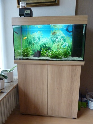 120 liter aquarium mit