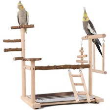 Tragbarer vogelspielplatz mit - vogelspielplatz,