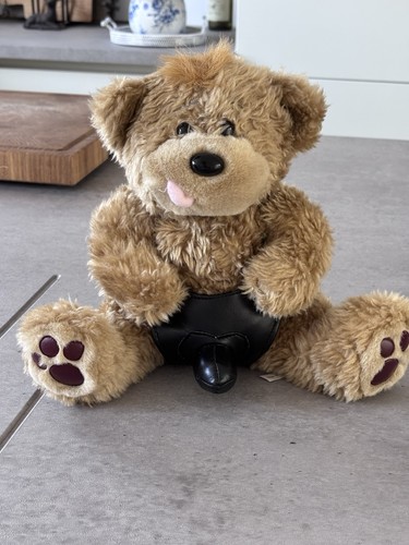 Frecher teddybär mit - frecher,