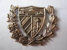 Pin cap badge German colonies