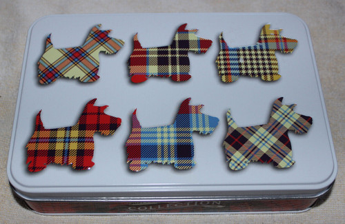 Shottish terrier scotty dog - terrier,