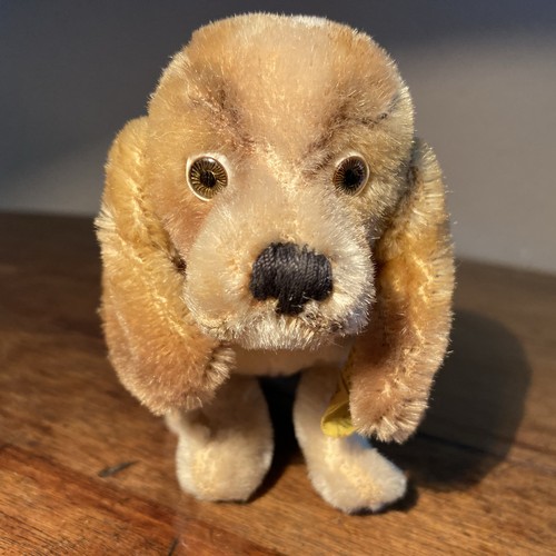 Steiff hund hush puppies mit - hund,