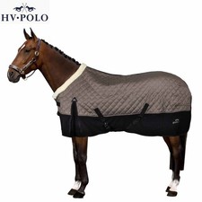 Polo stalldecke hvpfrancis - polo,