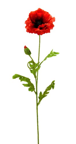 Künstlicher mohn mit - mit, knospe