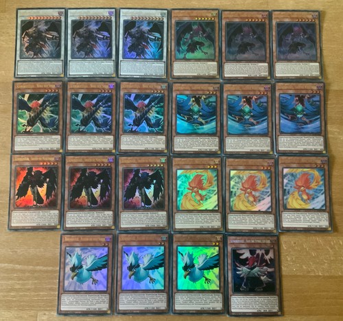 Schwarzflügel deck - yu-gi-oh,, schwarzflÜgel-deck