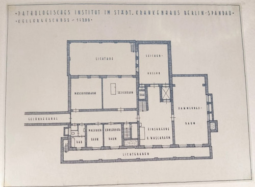 Foto konvolut 1927 pathologie - 1927:,