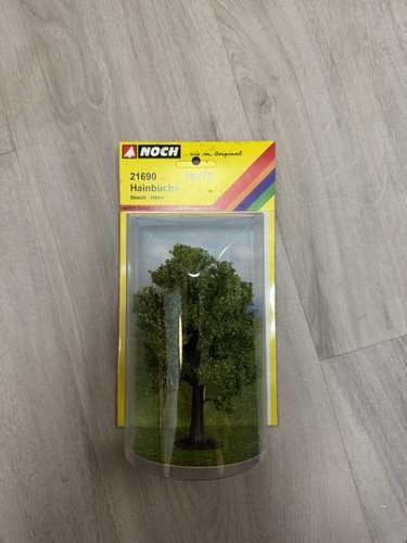 Noch 21690 hainbuche - h0, –