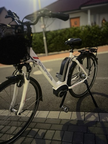 Gepida bike reptila 1000 - e-bike,