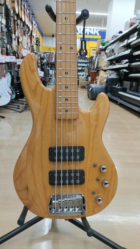2500 e bassgitarre - l-2500, e-bassgitarre