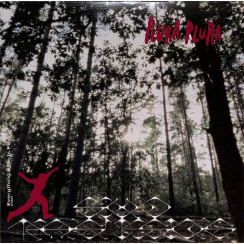 Plura everything else - plura,