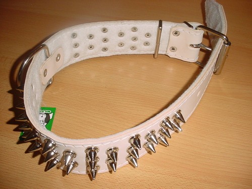 Hundehalsband mit