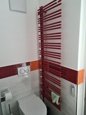 Handtuchtrockner Yucca Zehnder