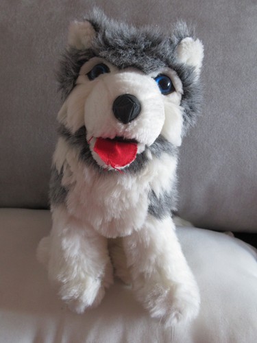 Plüsch husky hund weiß - -,
