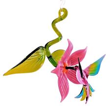 Hängevogel Kolibri in Blüte