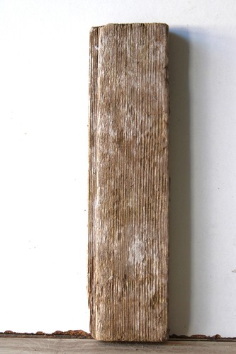 Treibholz schwemmholz - treibholz,