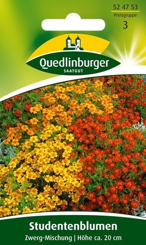 STUDENTENBLUMEN