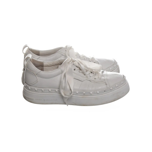 Kennel schmenger sneaker - &,