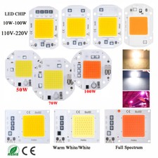 High Power LED Chip 10W 20W 30W 50W 100W weiß 230V 220V RGB Aquarium LED DIY COB