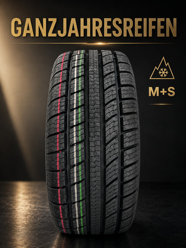 165 r14 81t - 1x,
