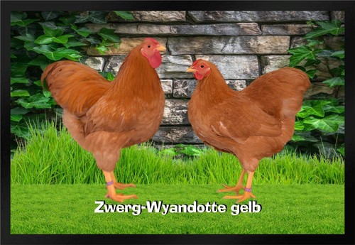 Fußmatte schmutzfangmatte - fußmatte,