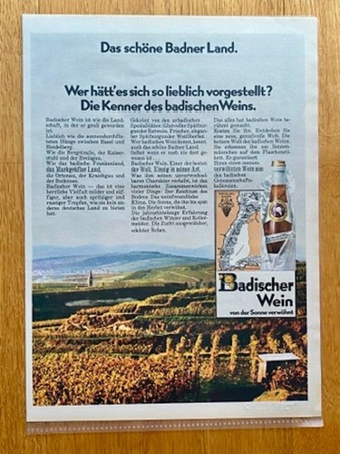 Badischer wein von der - wein, sonne