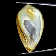 50cts natürlich fossil - 82.50cts,