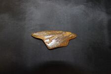 Kopal Copal junger Bernstein aus Kolumbien , 8 Gramm, 7 x 2,5 cm