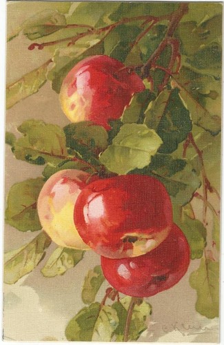 äpfel baum signiert c - baum,,
