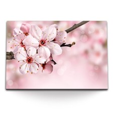 120x80cm Wandbild auf Leinwand Kirschblüte Blüte Frühling Ast Rosa Baumblüten