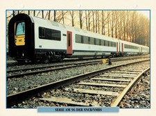 Triebzug Serie AM 96 der