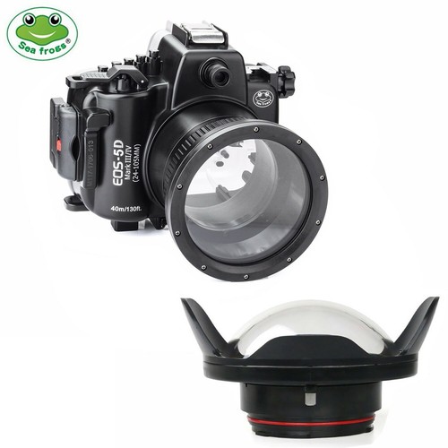 Seafrogs 130ft underwater - seafrogs,