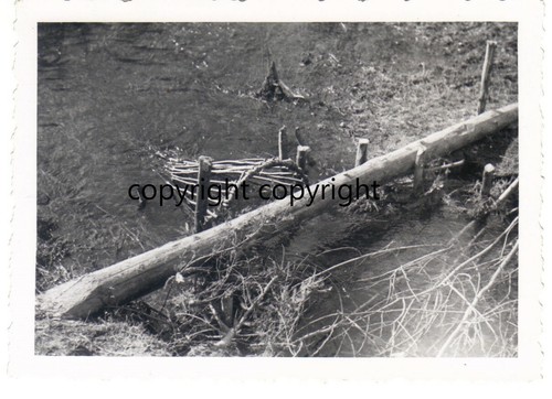 Vintage photo russia may - photo, 1942
