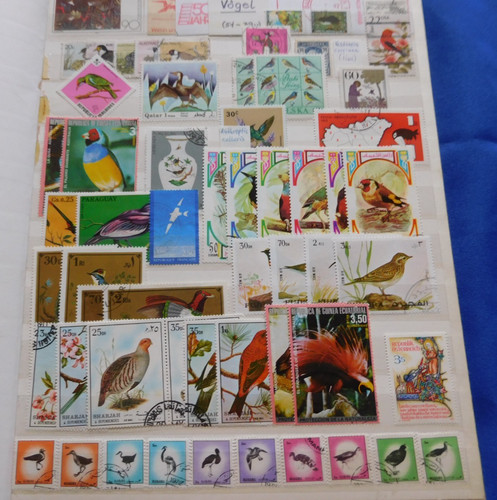 Vögel motiv briefmarken - ,