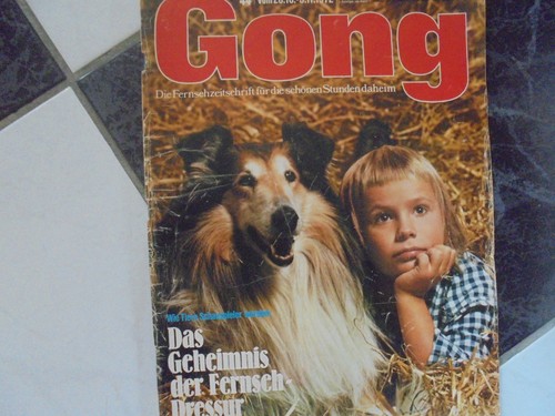 Gong 1972 marianne - gong,