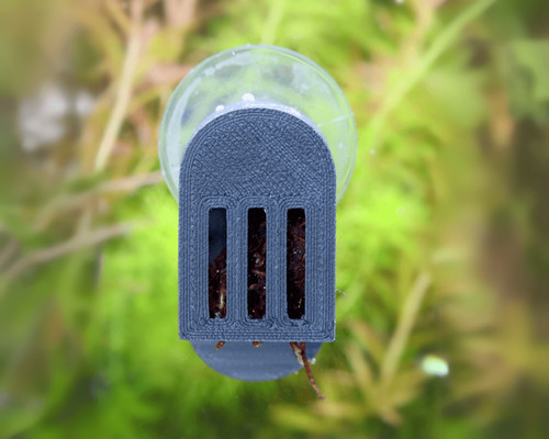 Natureholic ice cage - natureholic,