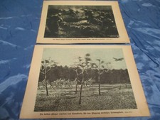 historischer Kunst Druck , 1