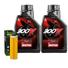 Wartungs-Kit Mit Motul 300V
