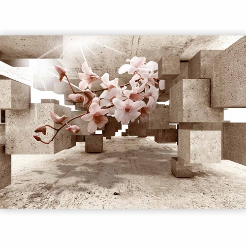 Optik blumen orchidee - blumen,