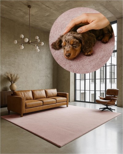 Texmaxx kurzflor teppich - texmaxx,