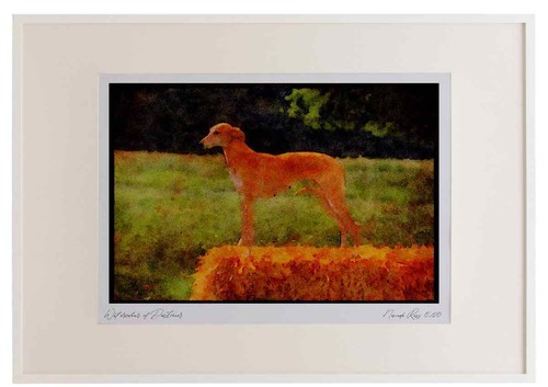 415077 luretter aquarell - 415077,