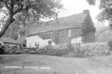 Dyy-25 Mrs Horobin, Meadow