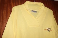 Shirt, Langarm, Gelb, V-Kragen, Baumwolle, Größe XL, Giani Feroti, Lady Line