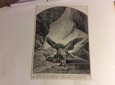 2 Kupferstiche Martin Elias Ridinger nach Johann Ridinger etwa 1799  HÖR