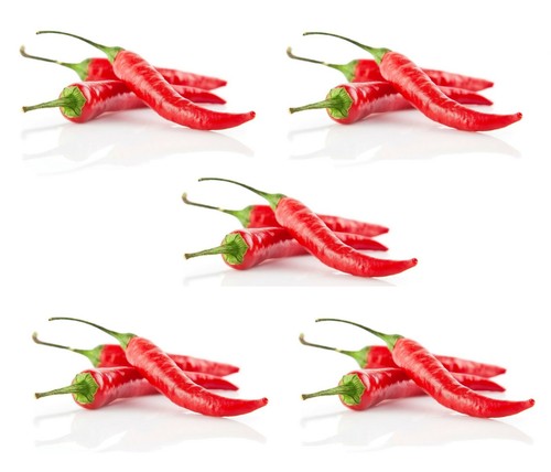 Thai chili schoten bigpack - chili, 5